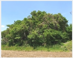  2025Ÿ��11379 �泲 ���ؽ� ���ʸ� ��ȸ� 518      ����(��1)���