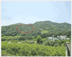  2025Ÿ��11424 �泲 â���� ��â�� �ϸ� ��� ��199-4     ����(�Ӿ�)���