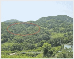  2025Ÿ��11424 �泲 â���� ��â�� �ϸ� ��� ��199-4     ����(�Ӿ�)���