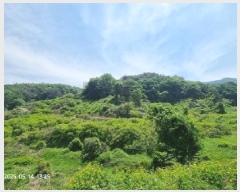  2025Ÿ��11424 �泲 â���� ��â�� �ϸ� ��� ��199-4     ����(�Ӿ�)���