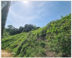  2025Ÿ��11424 �泲 â���� ��â�� �ϸ� ��� ��199-4     ����(�Ӿ�)���