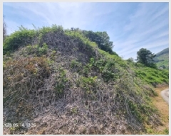  2025Ÿ��11424 �泲 â���� ��â�� �ϸ� ��� ��199-4     ����(�Ӿ�)���