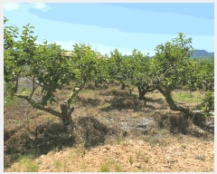  2025Ÿ��11479  �����