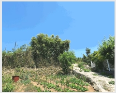  2025Ÿ��11479  �����