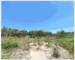  2025Ÿ��11479  �����