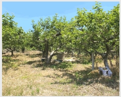  2025Ÿ��11479  �����