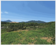  2025Ÿ��11479  �����