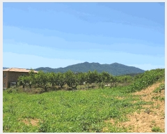  2025Ÿ��11479  �����