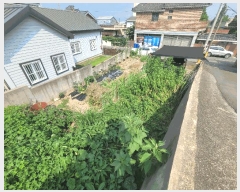  2025Ÿ��11717 �泲 ���ؽ� ȭ�� 953       ����(����)���