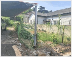  2025Ÿ��11717 �泲 ���ؽ� ȭ�� 953       ����(����)���