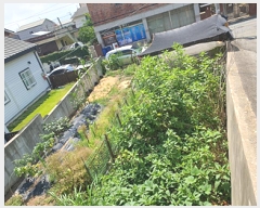  2025Ÿ��11717 �泲 ���ؽ� ȭ�� 953       ����(����)���