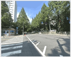  2025Ÿ��11763 �泲 â���� ���걸 �ݸ��� 3-1 �������Ʈ 106�� 15��1502ȣ   ����Ʈ���