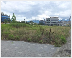  2025Ÿ��11781 �泲 ���ؽ� ���ʸ� ���� 1575-1      ����(����)���