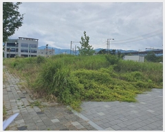  2025Ÿ��11781 �泲 ���ؽ� ���ʸ� ���� 1575-1      ����(����)���