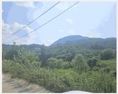  2025Ÿ��11927  ���������