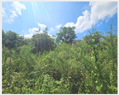  2025Ÿ��11927  ���������