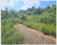  2025Ÿ��11927  ���������