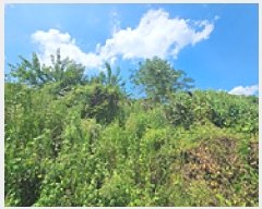  2025Ÿ��11927  ���������