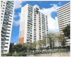  2025Ÿ��11946  ����Ʈ���