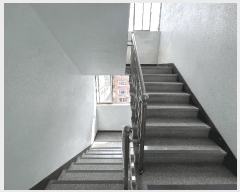  2025Ÿ��11999  �ټ���(����)���