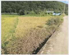  2025Ÿ��12051  ����