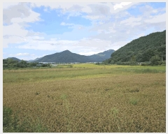  2025Ÿ��12051  ����