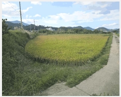  2025Ÿ��12051  ����