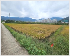  2025Ÿ��12051  ����