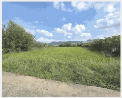  2025Ÿ��12060  ����Ʈ���