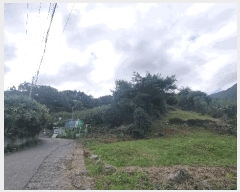  2025Ÿ��12258  ���������