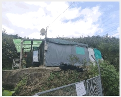  2025Ÿ��12258  ���������