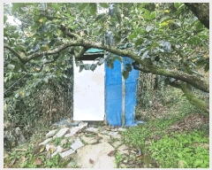  2025Ÿ��12258  ���������