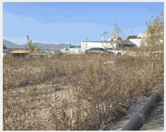  2025Ÿ��12375 �泲 ���ؽ� ���ʸ� �꺻�� 1181-1      ����(����)���