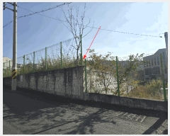  2025Ÿ��12375 �泲 ���ؽ� ���ʸ� �꺻�� 1181-1      ����(����)���