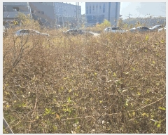  2025Ÿ��12375 �泲 ���ؽ� ���ʸ� �꺻�� 1181-1      ����(����)���