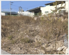  2025Ÿ��12375 �泲 ���ؽ� ���ʸ� �꺻�� 1181-1      ����(����)���