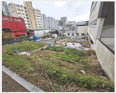  2025Ÿ��12393 �泲 â���� ���ر� ǳȣ�� 803-5      ����(����)���