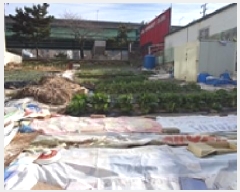  2025Ÿ��12393 �泲 â���� ���ر� ǳȣ�� 803-5      ����(����)���