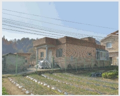  2025Ÿ��12411  �������