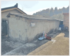  2025Ÿ��12411  �������