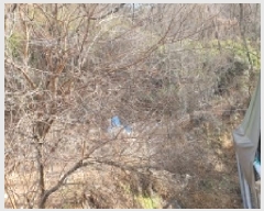  2025Ÿ��12483  ��õ���