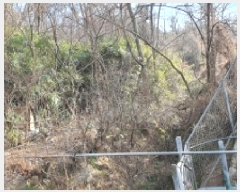  2025Ÿ��12483  ��õ���