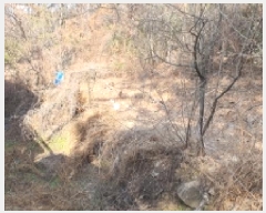  2025Ÿ��12483  ��õ���