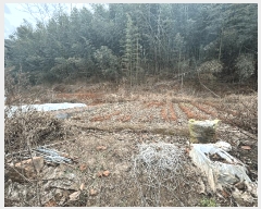  2025Ÿ��12519  �����