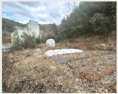  2025Ÿ��12519  �����