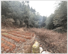  2025Ÿ��12519  �����