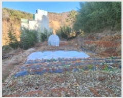  2025Ÿ��12519  �����