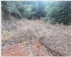  2025Ÿ��12519  �����