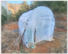  2025Ÿ��12519  �����