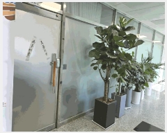  2025Ÿ��67  �ٸ��󰡰��